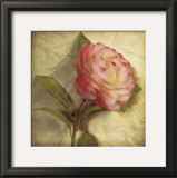 Buy Aurora at AllPosters.com