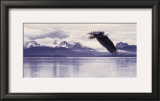Buy Silent Quest at AllPosters.com
