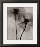 Buy Facing the Sun at AllPosters.com
