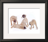 Puppies and Kittens III