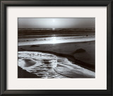 Buy Birds on a Beach at AllPosters.com