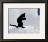 Buy Cat and Flower at AllPosters.com