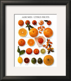 Buy Citrus Fruit at AllPosters.com