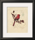 Filigree Cardinal