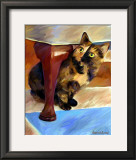 Calico Face
