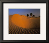 Buy Algerie at AllPosters.com