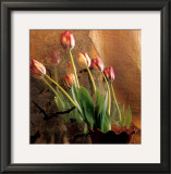Buy Tulip Reflection at AllPosters.com