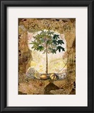 Buy Lace and Papaya at AllPosters.com
