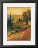 Toscano Valley I