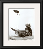 Buy Cat and Mouse at AllPosters.com