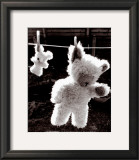 Teddy Bear Drying