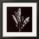 Buy Simplicity at AllPosters.com