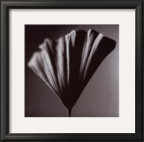 Buy Simplicity at AllPosters.com