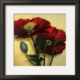 Buy Poppies at AllPosters.com