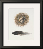 Field Study Nest