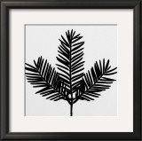 Buy Simplicity at AllPosters.com