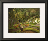 Buy Riziere-Bali at AllPosters.com