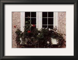 Buy Window Box at AllPosters.com