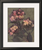Buy Autumn Kisses II at AllPosters.com