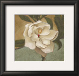 Spring Magnolia II
