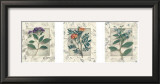 Healing Herbs, Panel I