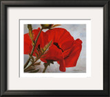 Buy The Red Poppy at AllPosters.com