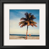 Buy Maimi Beach at AllPosters.com