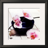 Orchid in a Bowl Framed Art Print