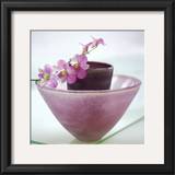 Orchids