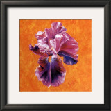 Buy Un Amour d'Iris at AllPosters.com