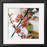 Buy Appletree Branch at AllPosters.com