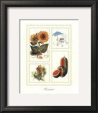 Buy Summer at AllPosters.com