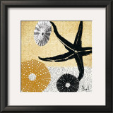 Tidepool Dreams II