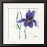 Iris II
