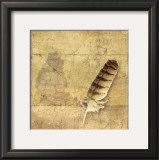 Buy Owl Feather at AllPosters.com