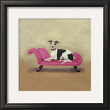 Italian Greyhound on Pink