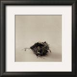 Buy Home on a Stick at AllPosters.com