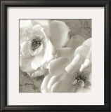 Buy Poppy Study III at AllPosters.com