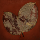 Buy Beauty in Red I at AllPosters.com