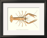 Buy Antique Lobster I at AllPosters.com