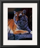 Buy Bengal Tiger at AllPosters.com
