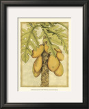 Buy Graphic Palms I at AllPosters.com