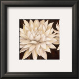 Buy Gorgeous at AllPosters.com