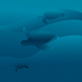 Sea Turtles II