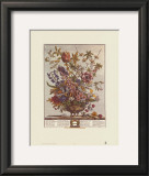 Twelve Months of Flowers, 1730, February