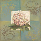 Hydrangeas on Green II