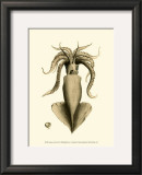 Buy Creatures of the Sea IV at AllPosters.com