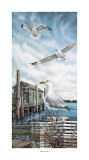 Seagull Key