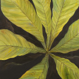 Buy Evergreen I at AllPosters.com