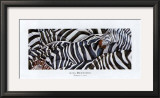 Buy Zebras's Sea at AllPosters.com